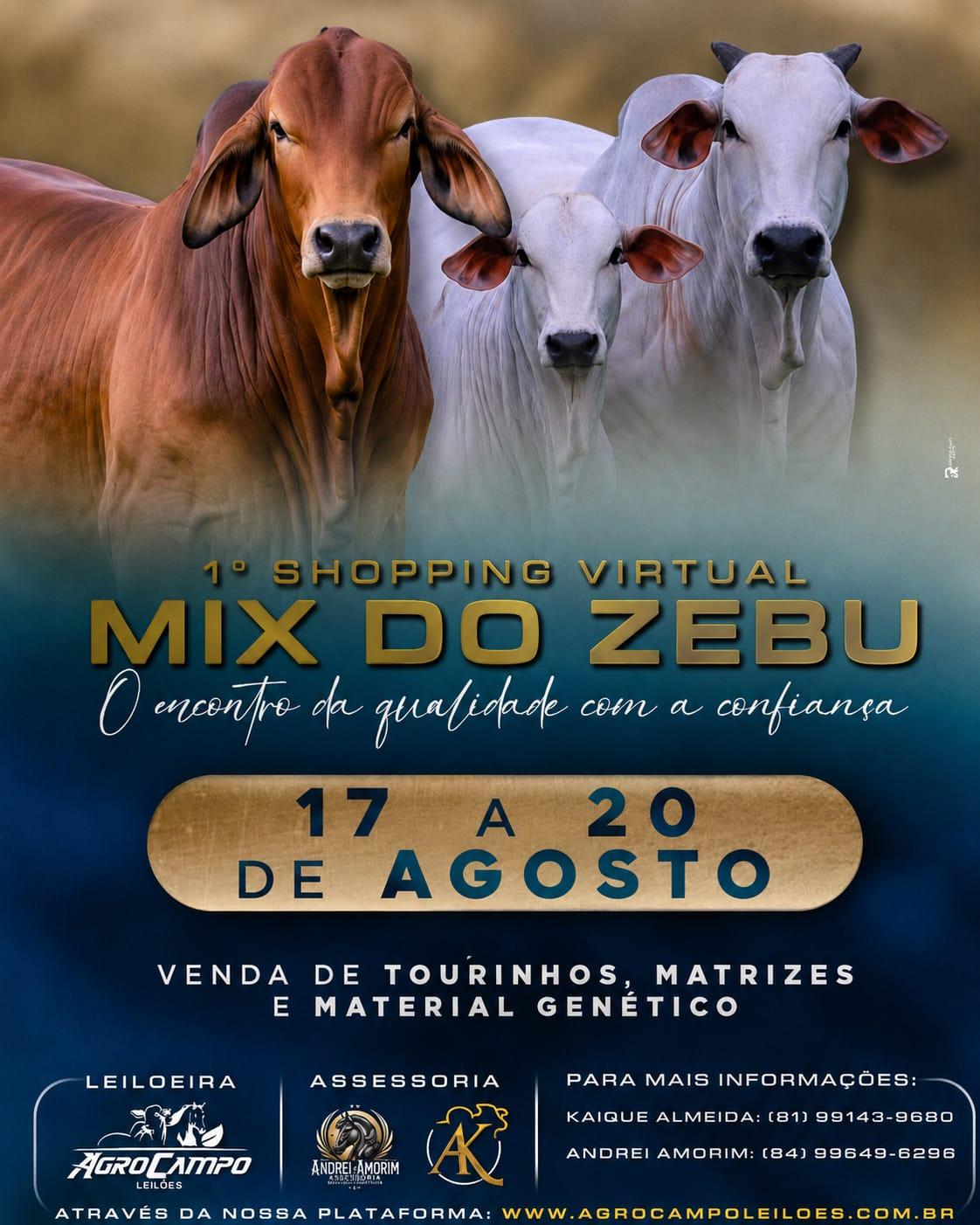 1º Shopping Virtual AgroCampo 360º